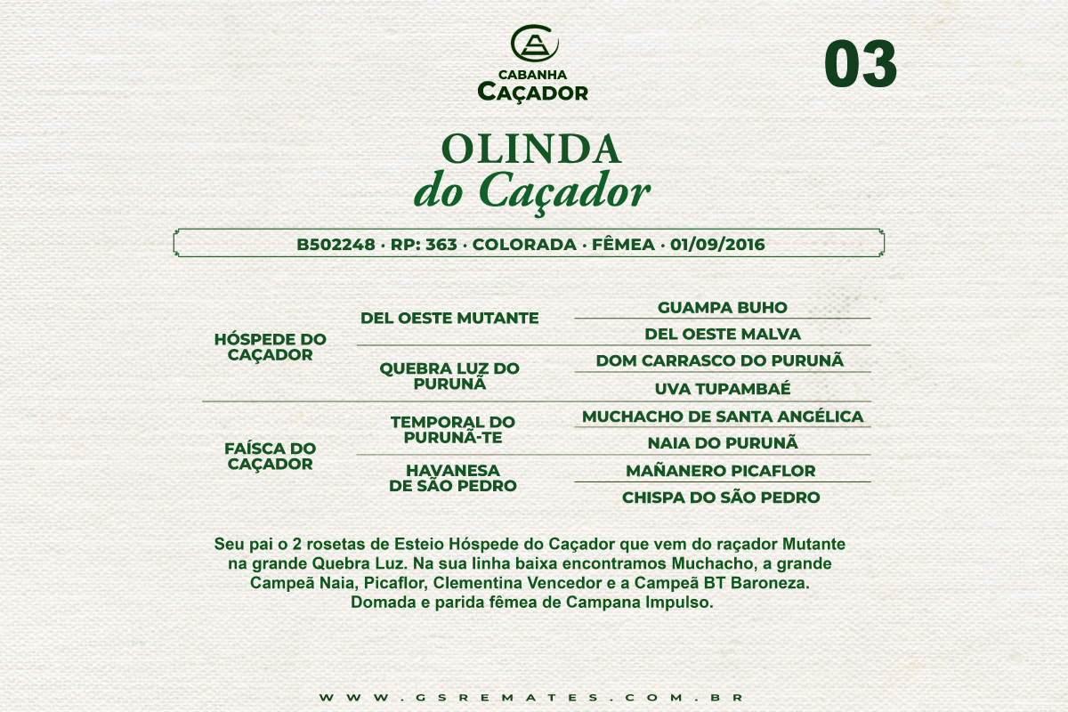 Geração OLINDA DO CAÇADOR 