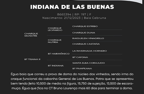 Geração INDIANA DE LAS BUENAS
