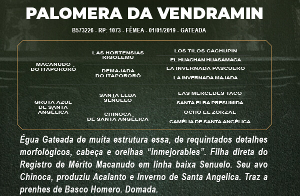 Geração PALOMERA DA VENDRAMIN