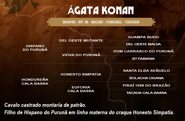 Geração ÁGATA KONAN 