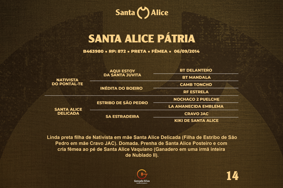 Geração SANTA ALICE PATRIA 
