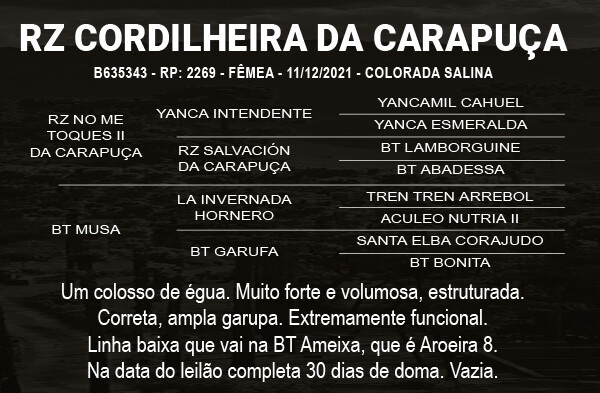 Geração RZ CORDILHEIRA DA CARAPUÇA
