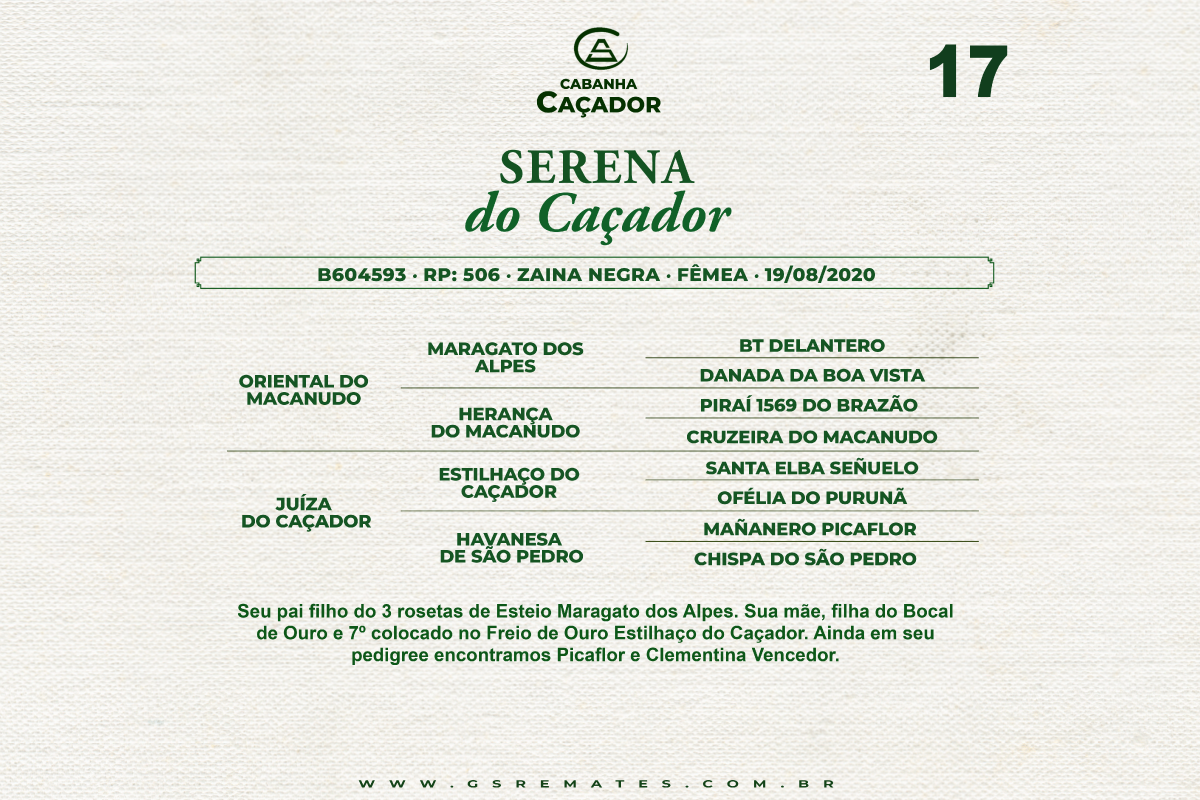 Geração SERENA DO CAÇADOR 