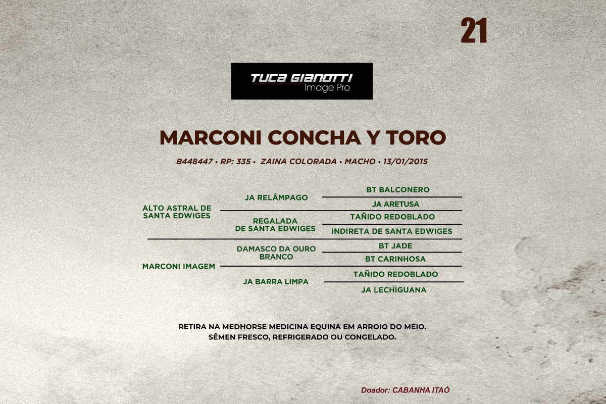 Geração MARCONI CONCHA Y TORO