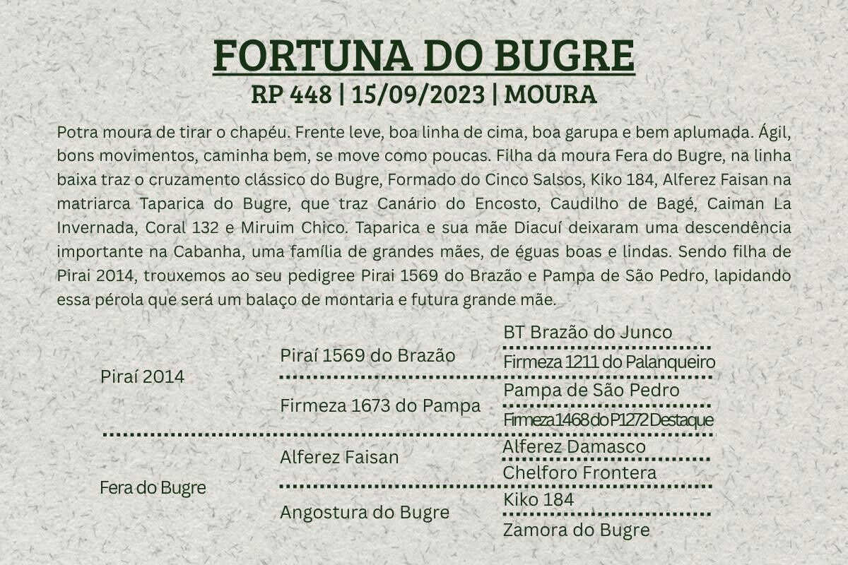 Geração FORTUNA DO BUGRE