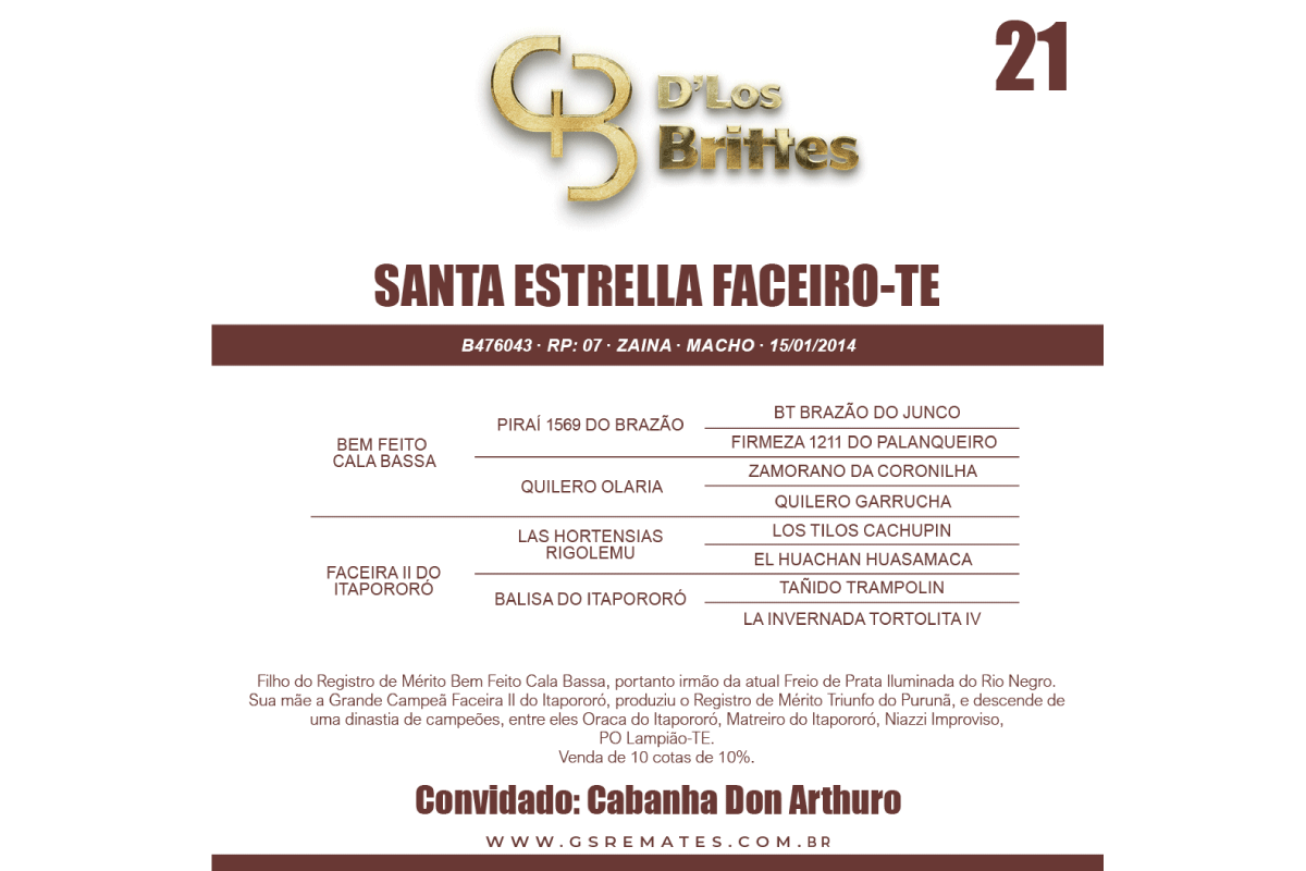 Geração SANTA ESTRELLA FACEIRO - TE