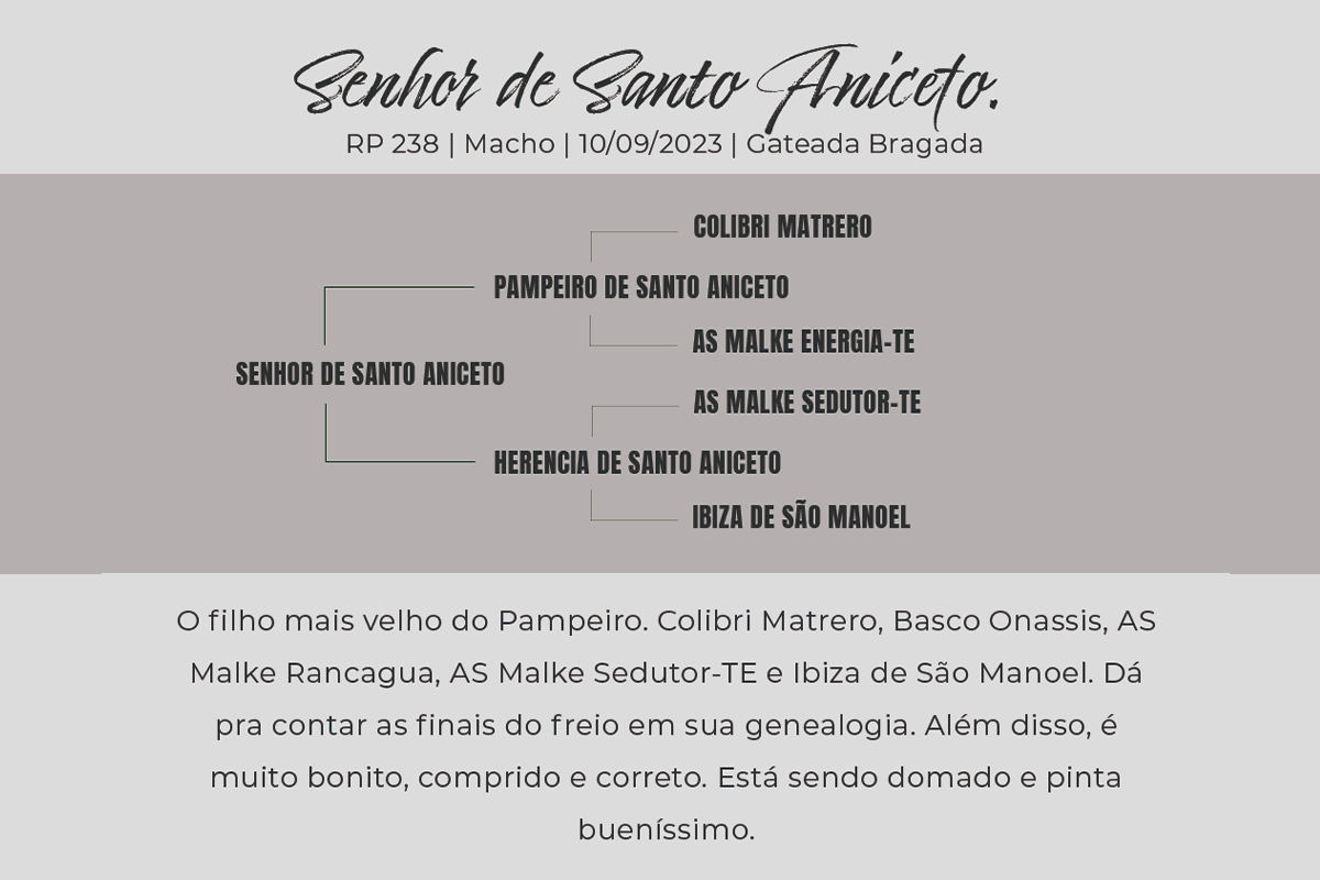 Geração SENHOR DE SANTO ANICETO