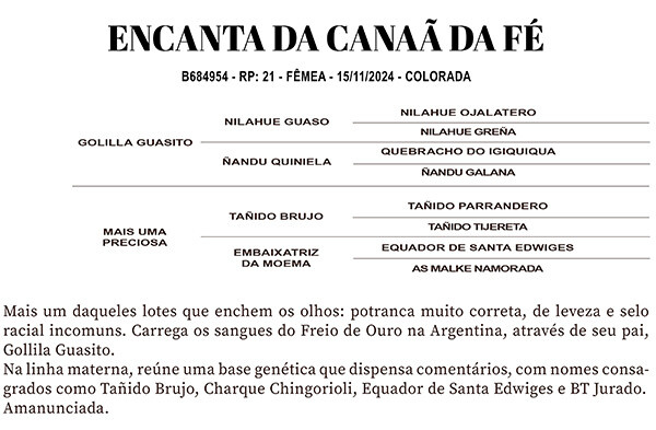 Geração ENCANTA DA CANAÃ DA FÉ 