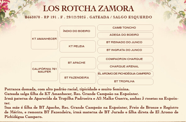 Geração LOS ROTCHA ZAMORA