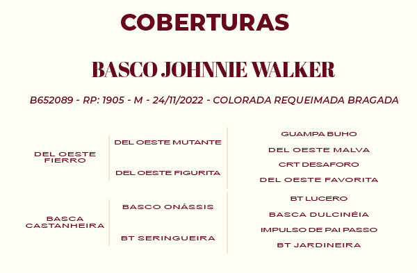 Geração BASCO JOHNNIE WALKER - COBERTURAS