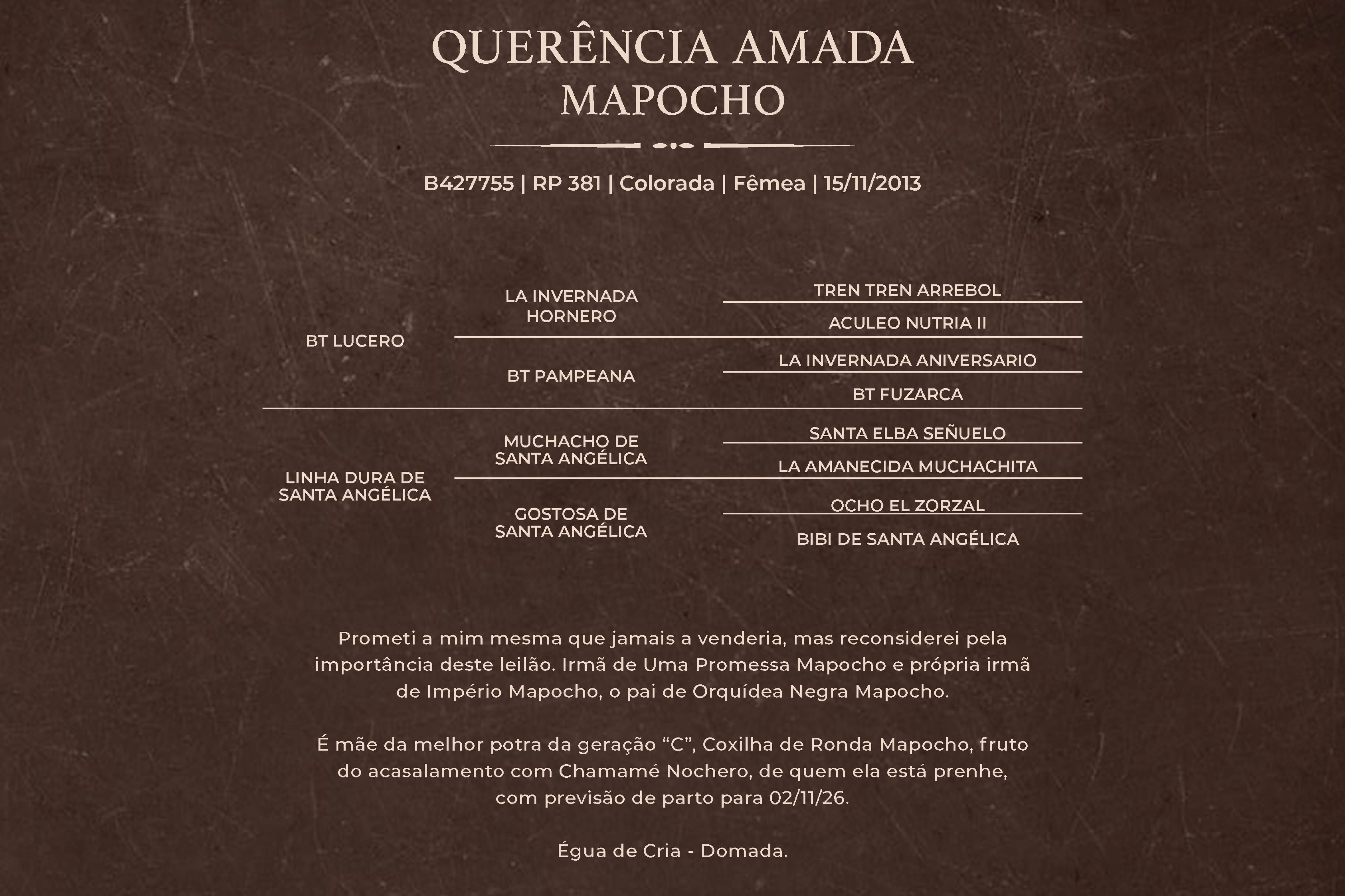 Geração QUERÊNCIA AMADA MAPOCHO