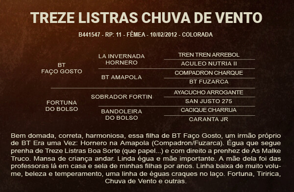 Geração TREZE LISTRAS CHUVA DE VENTO