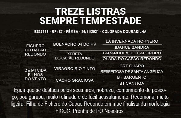 Geração TREZE LISTRAS SEMPRE TEMPESTADE