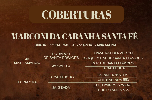 Geração COBERTURA MARCONI DA CABANHA SANTA FÉ