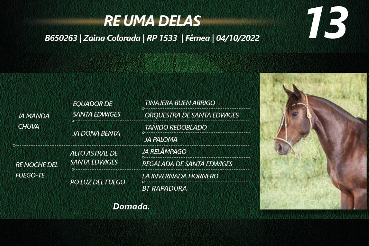 Geração RE UMA DELAS