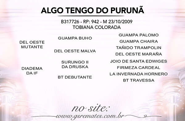 Geração ALGO TENGO DO PURUNA