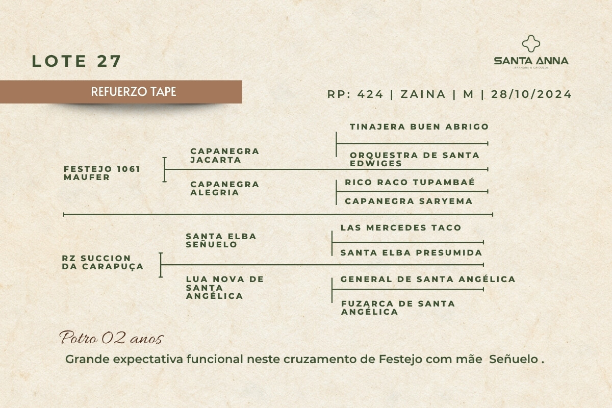 Geração REFUERZO TAPE