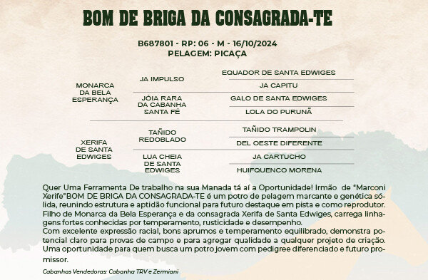 Geração BOM DE BRIGA DA CONSAGRADA - TE 
