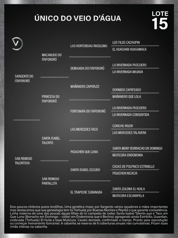 Geração ÚNICO DO VEIO D'ÁGUA