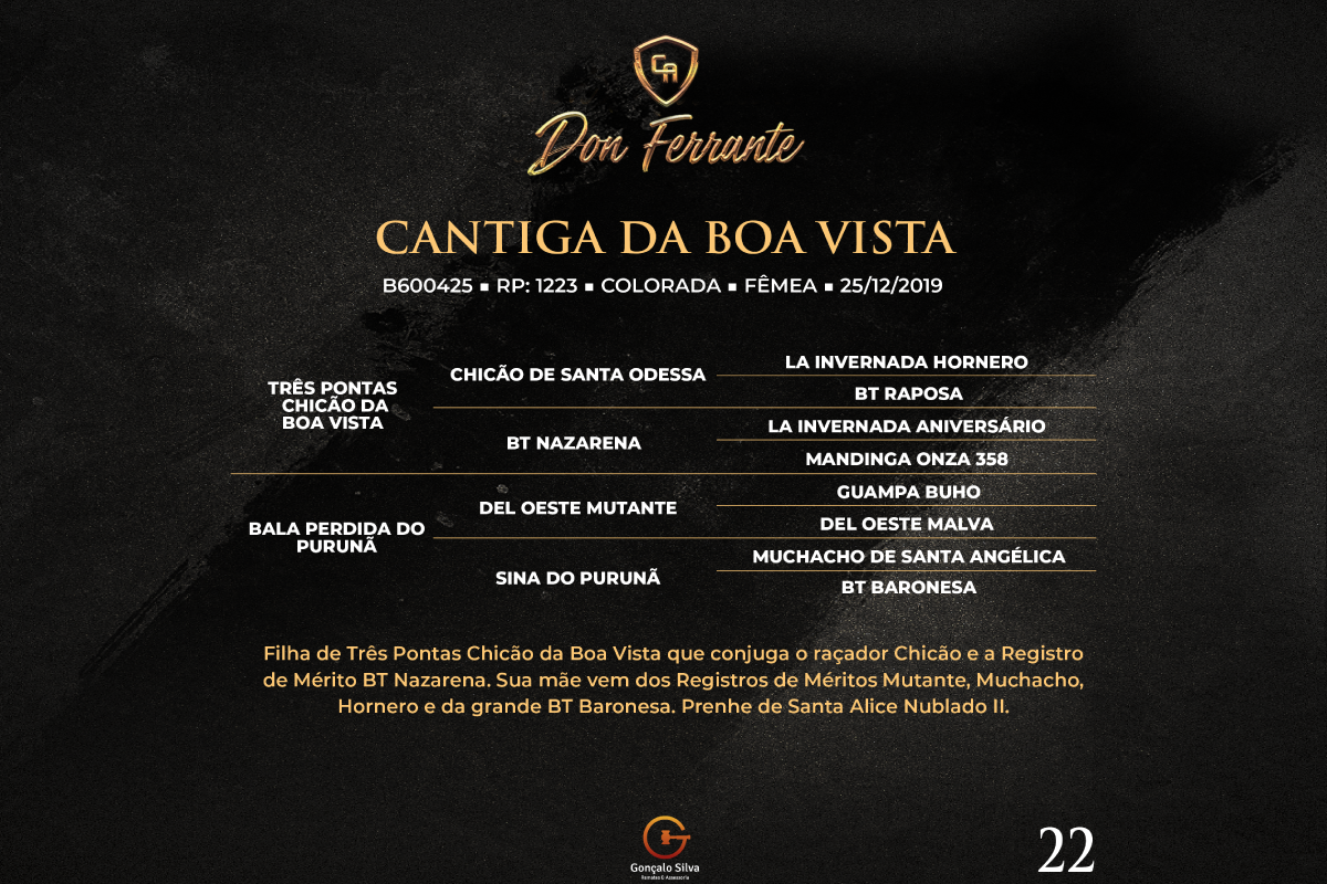 Geração CANTIGA DA BOA VISTA 