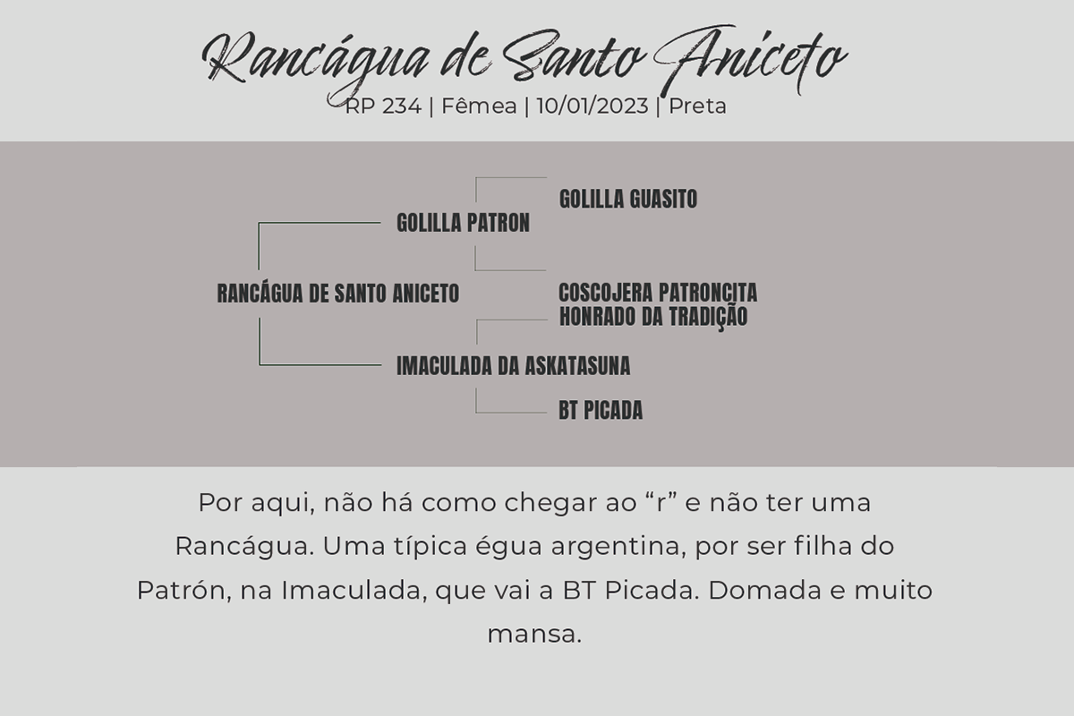Geração RANCÁGUA DE SANTO ANICETO