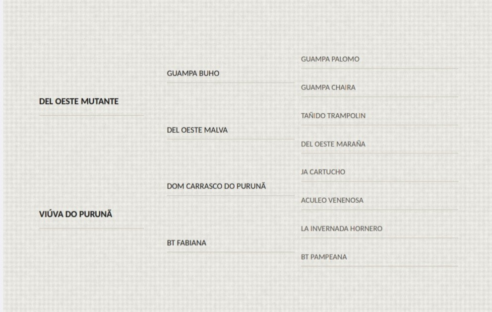 Geração HISPANO DO PURUNÃ