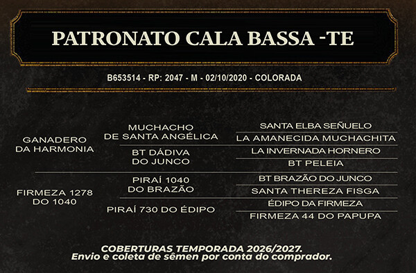 Geração PATRONATO CALA BASSA - TE 