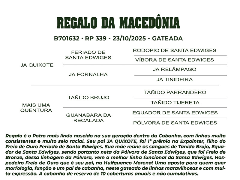 Geração REGALO DA MACEDÔNIA 