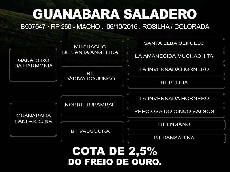 Geração COTA DE 2,5% GUANABARA SALADERO