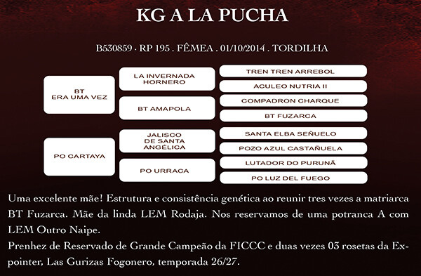 Geração KG A LA PUCHA