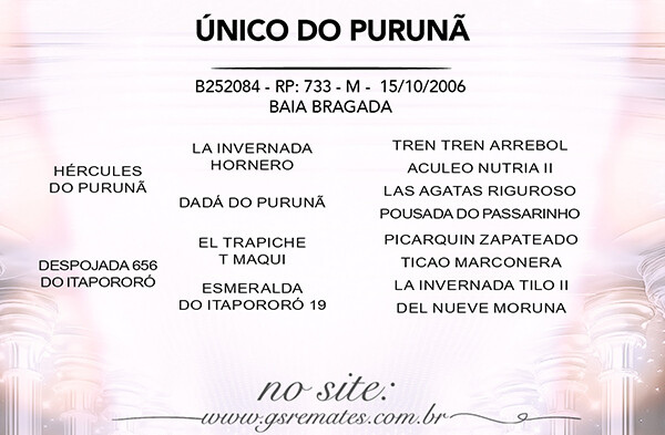 Geração UNICO DO PURUNA OU GAP MINUANO
