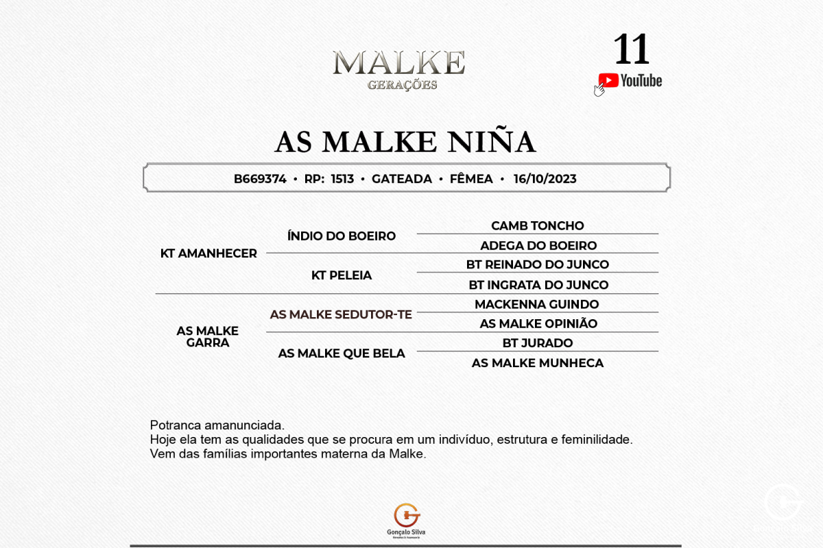 Geração AS MALKE NIÑA