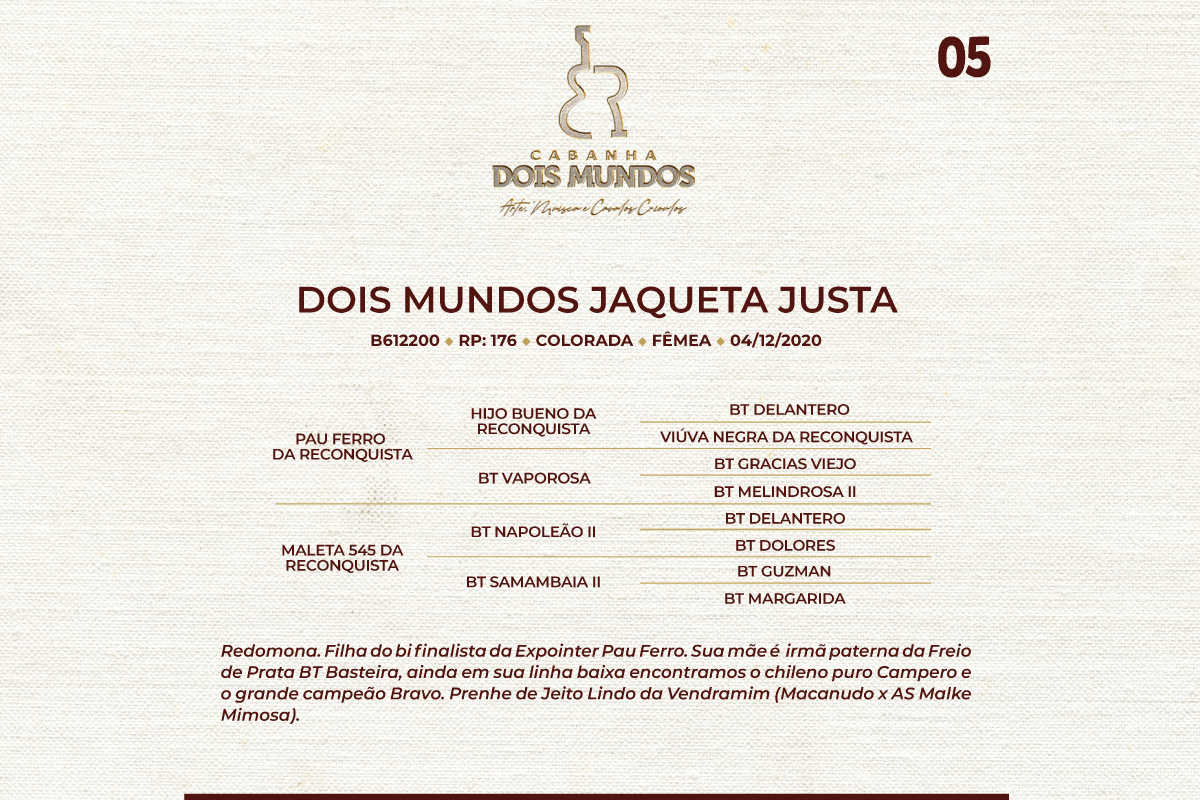Geração DOIS MUNDOS JAQUETA JUSTA