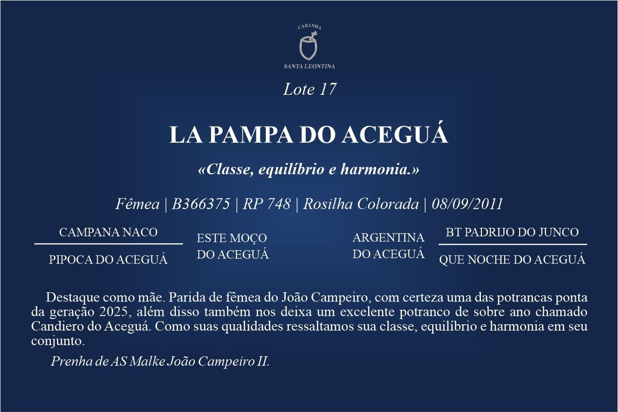 Geração LA PAMPA DO ACEGUÁ