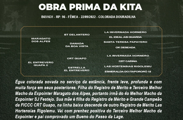 Geração OBRA PRIMA DA KITA 