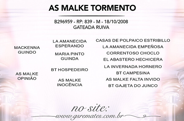 Geração AS MALKE TORMENTO - TE