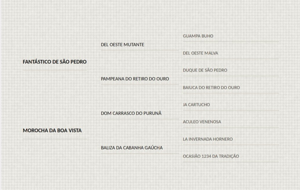 Geração MONTE PAMPERO JOGO DE SORTE