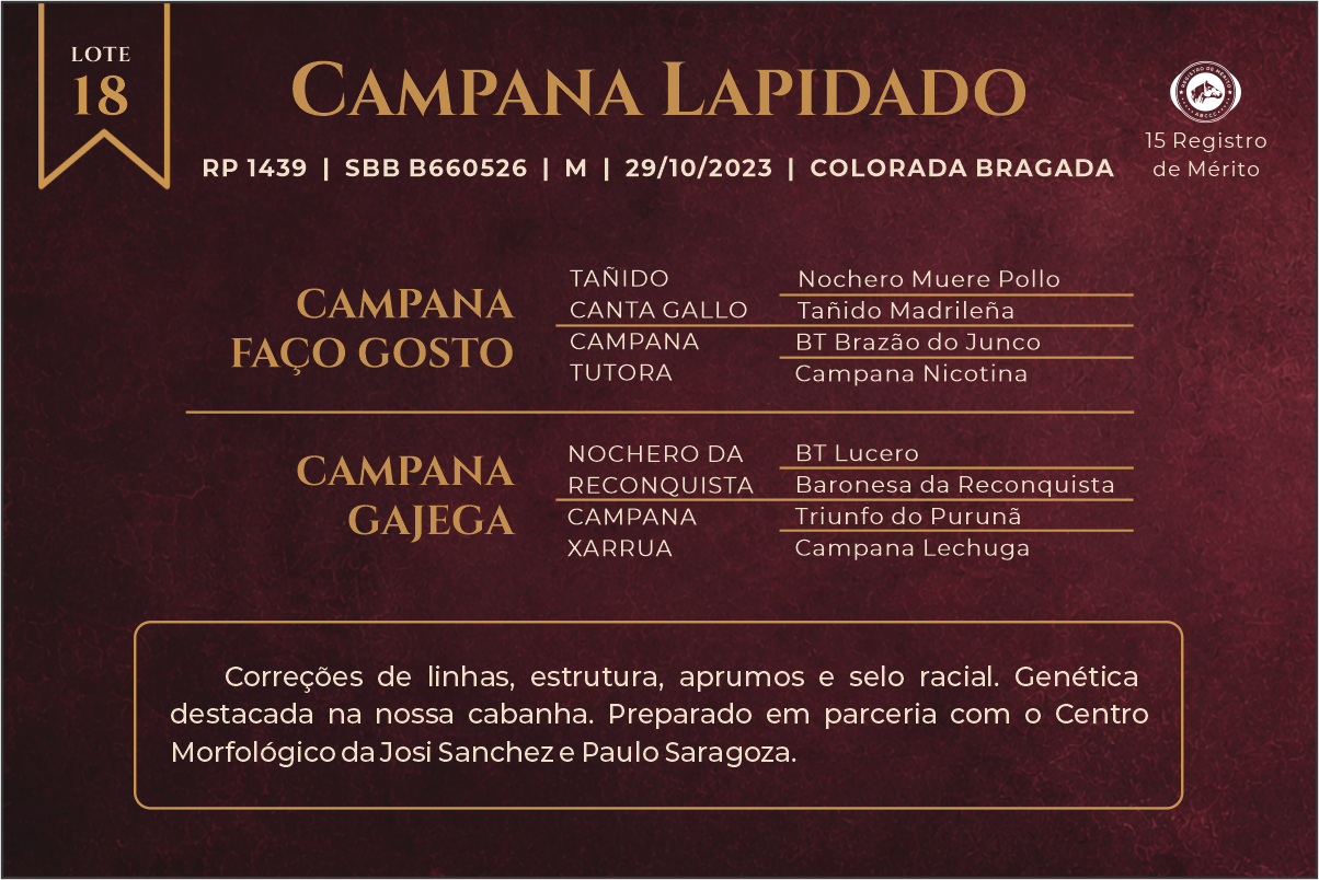 Geração CAMPANA LAPIDADO