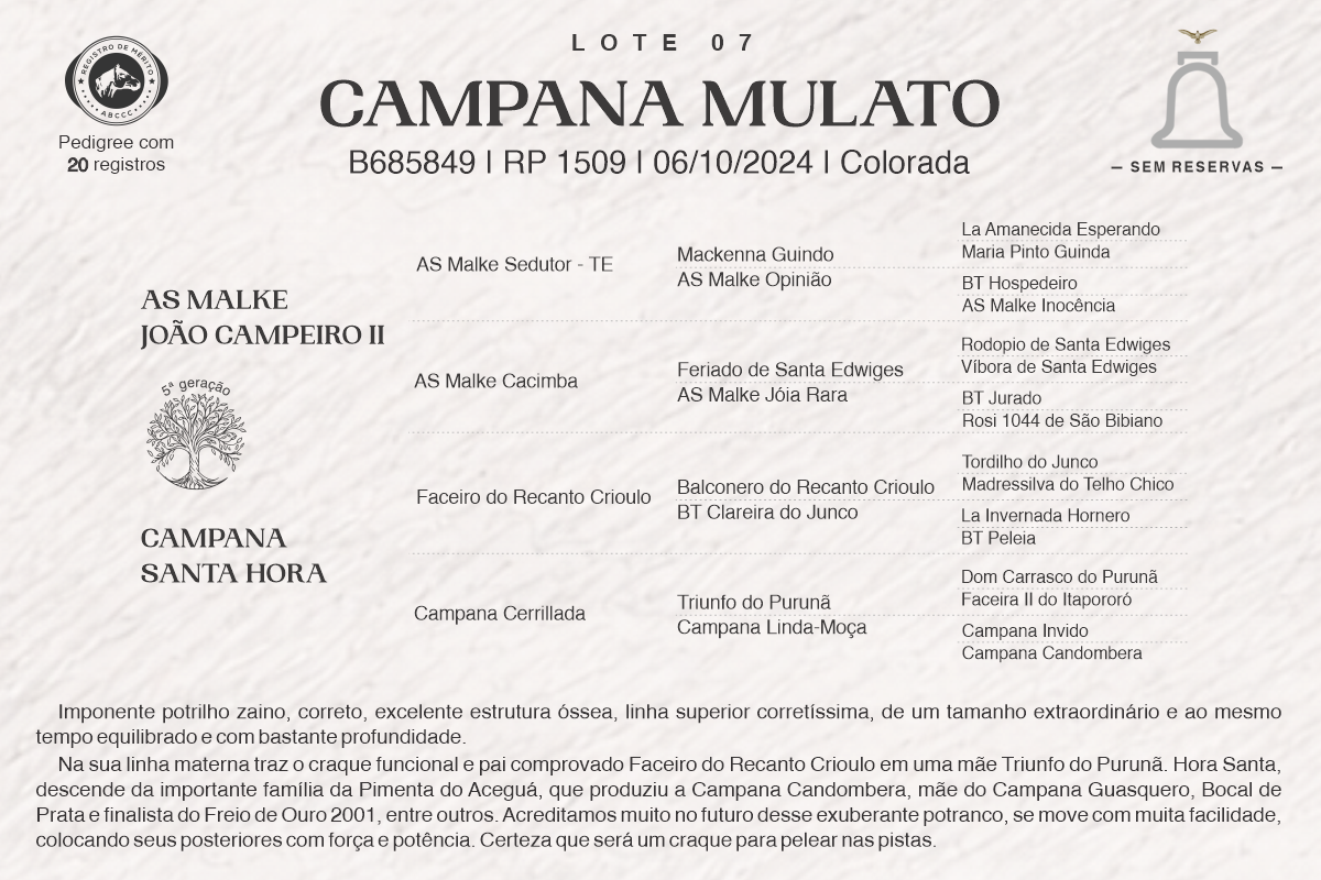 Geração CAMPANA MULATO
