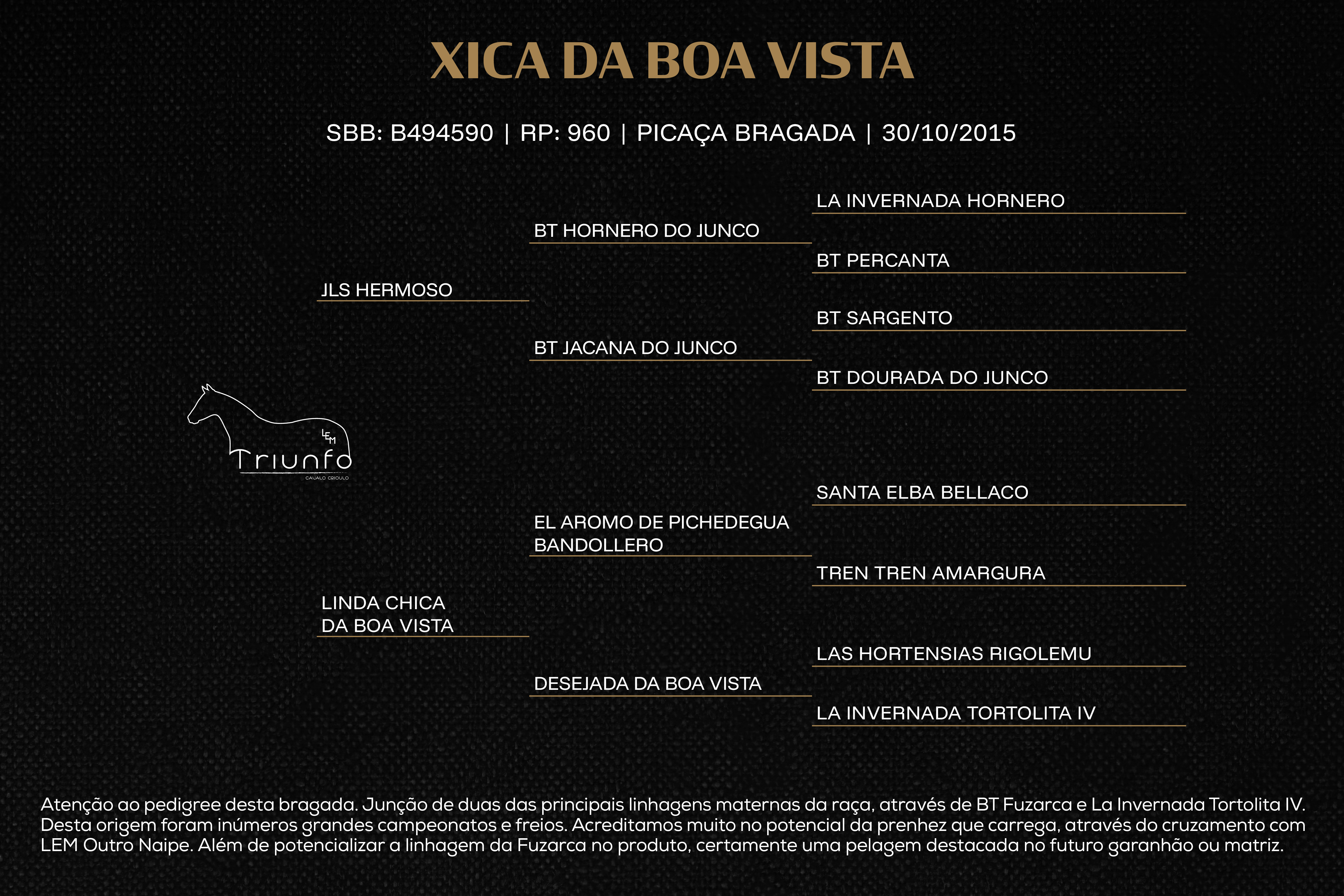 Geração XICA DA BOA VISTA