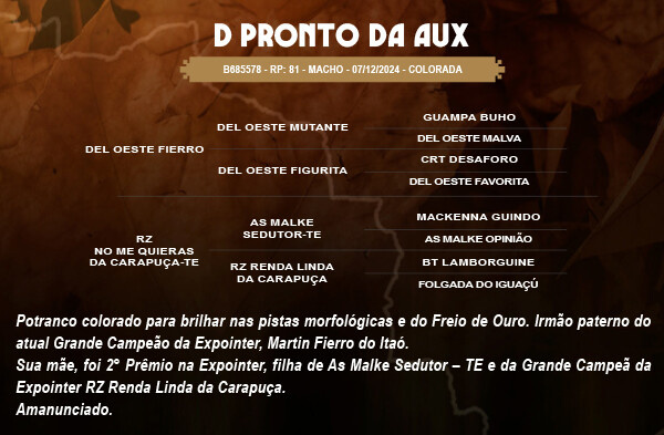 Geração D PRONTO DA AUX