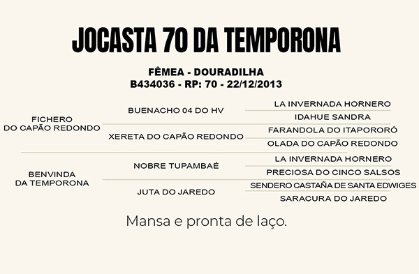 Geração JOCASTA 70 DA TEMPORONA 