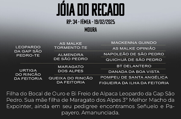 Geração JOIA DO RECADO