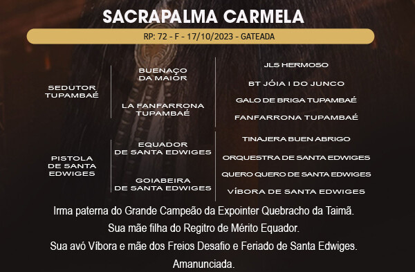Geração SACRAPALMA CARMELA 