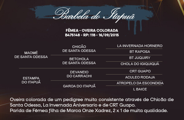 Geração BARBELA DO ITAPUÃ