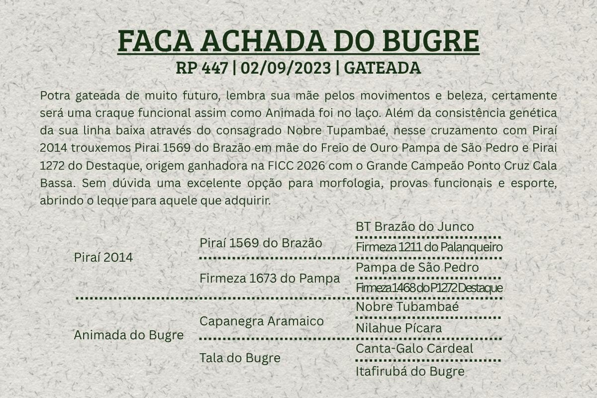 Geração FACA ACHADA DO BUGRE 