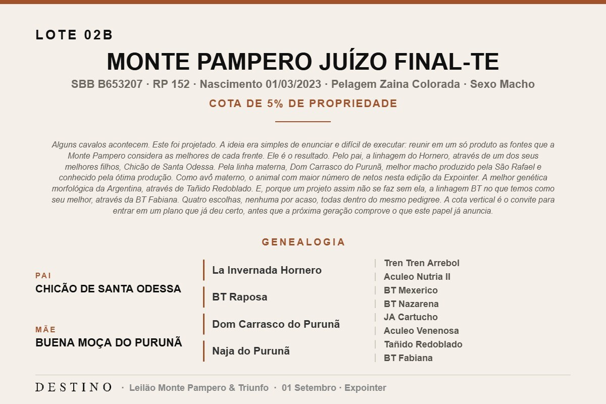 Geração MONTE PAMPERO JUÍZO FINAL-TE (Venda vertical cota de 5%)