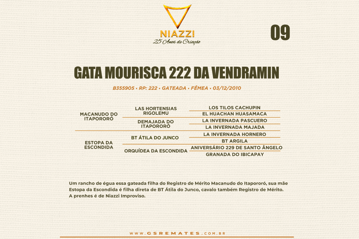 Geração GATA MOURISCA 222 DA VENDRAMIN