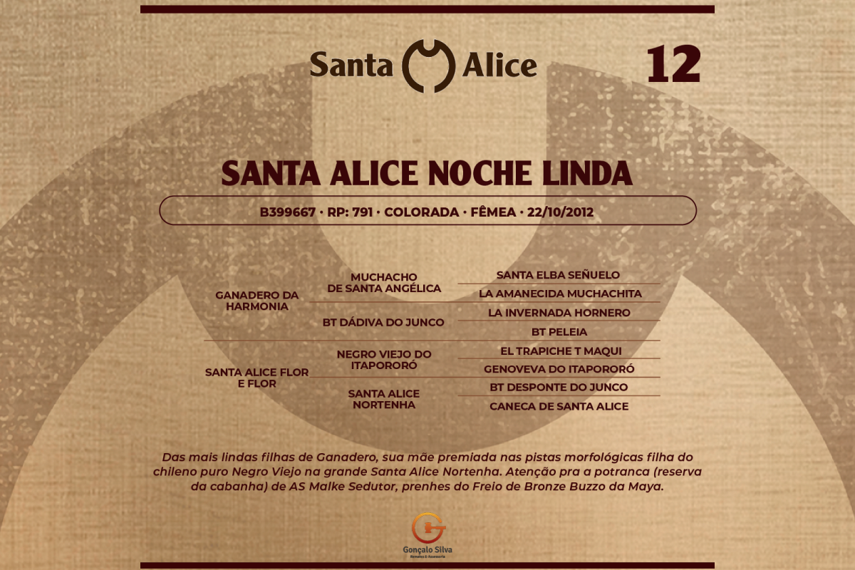 Geração SANTA ALICE NOCHE LINDA