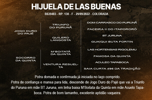 Geração HIJUELA DE LAS BUENAS